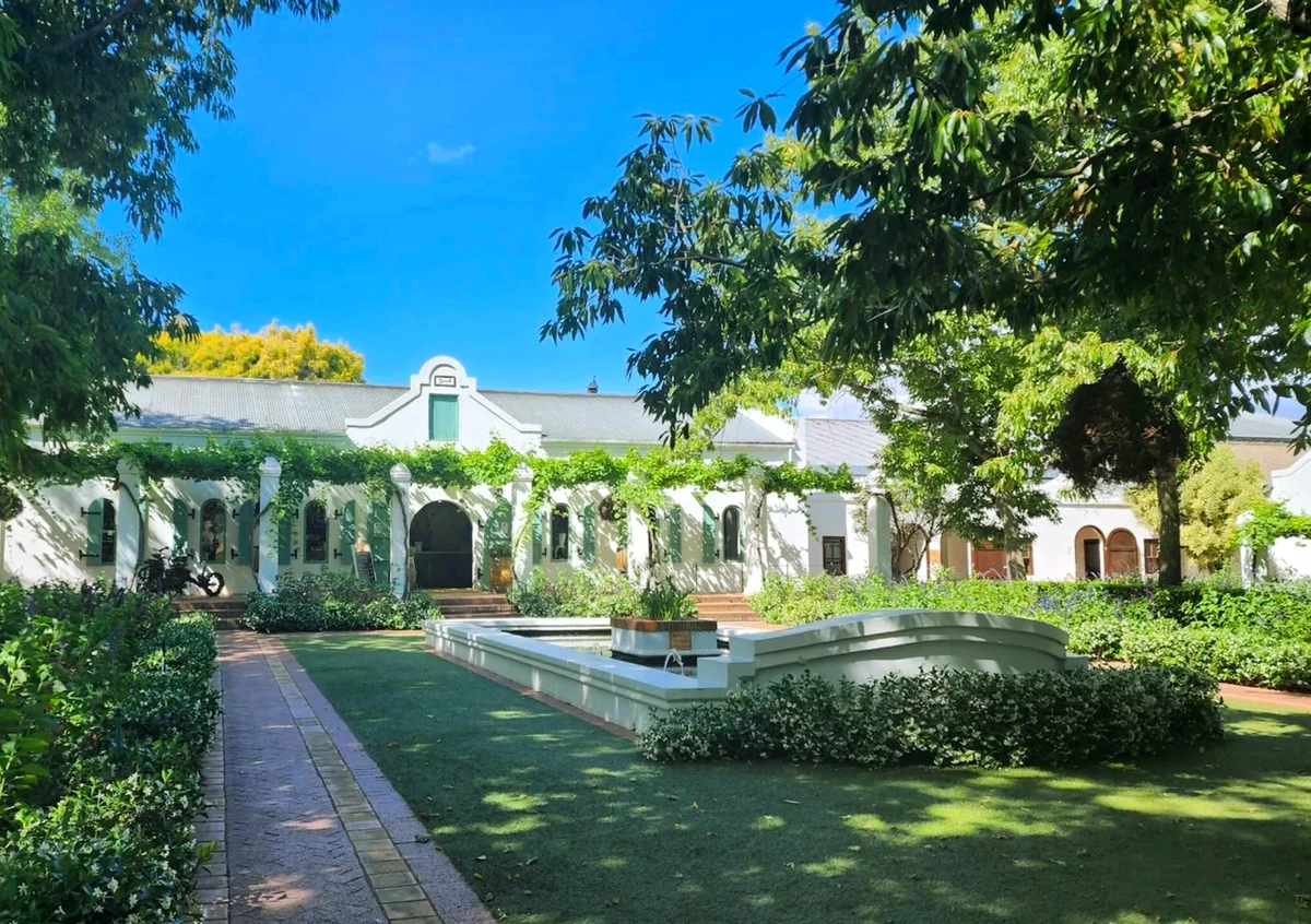 Горы и виноградники